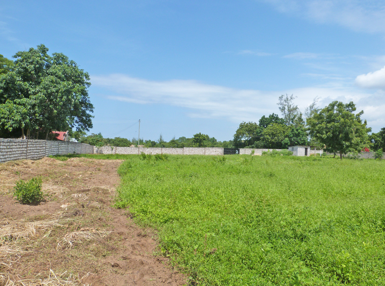 3 Acre undeveloped walled plot