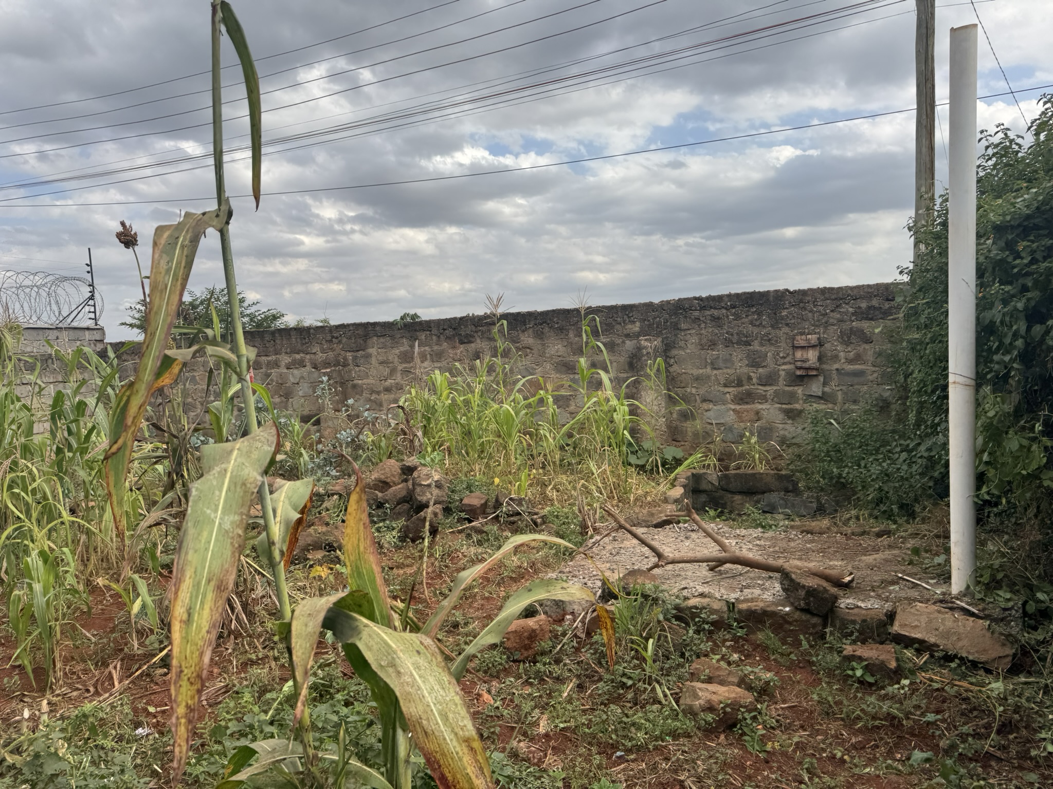 Ideal site for Renovation and Development