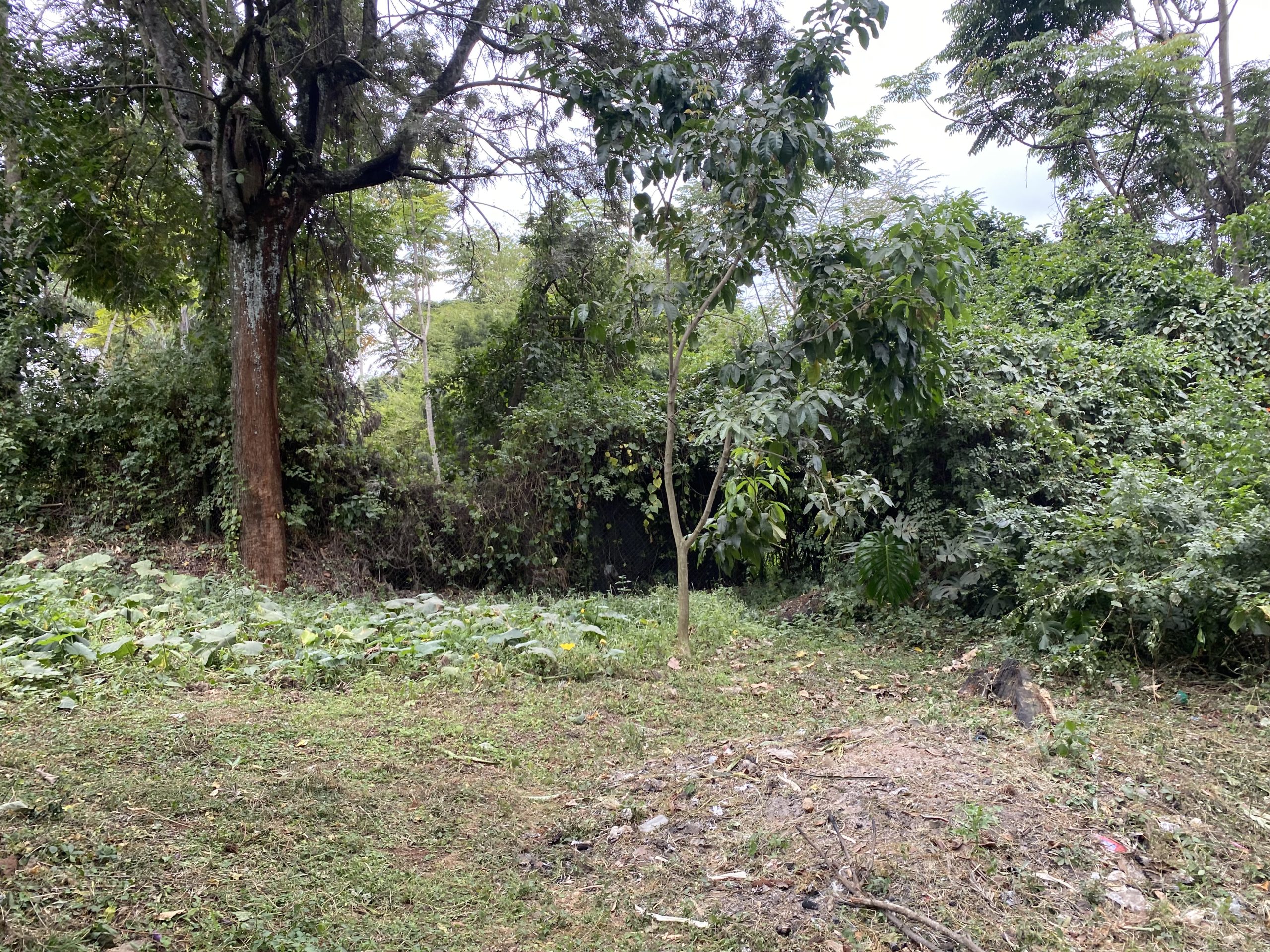 Redevelopment site in Riverside