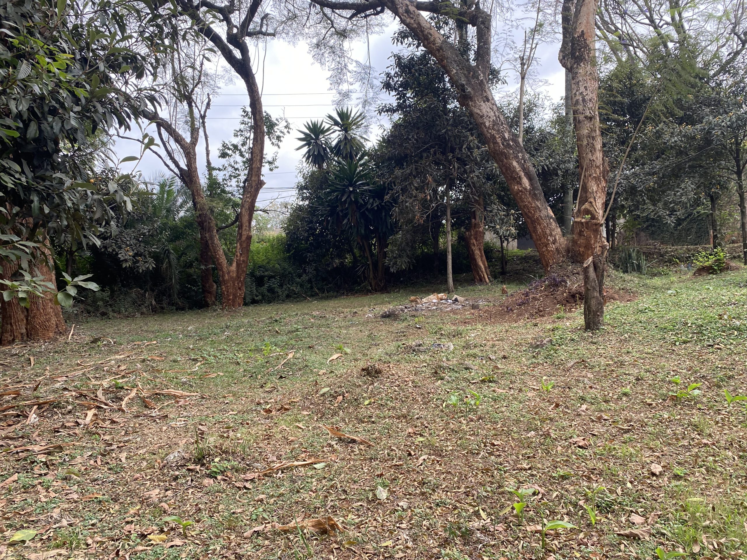 Redevelopment site in Riverside