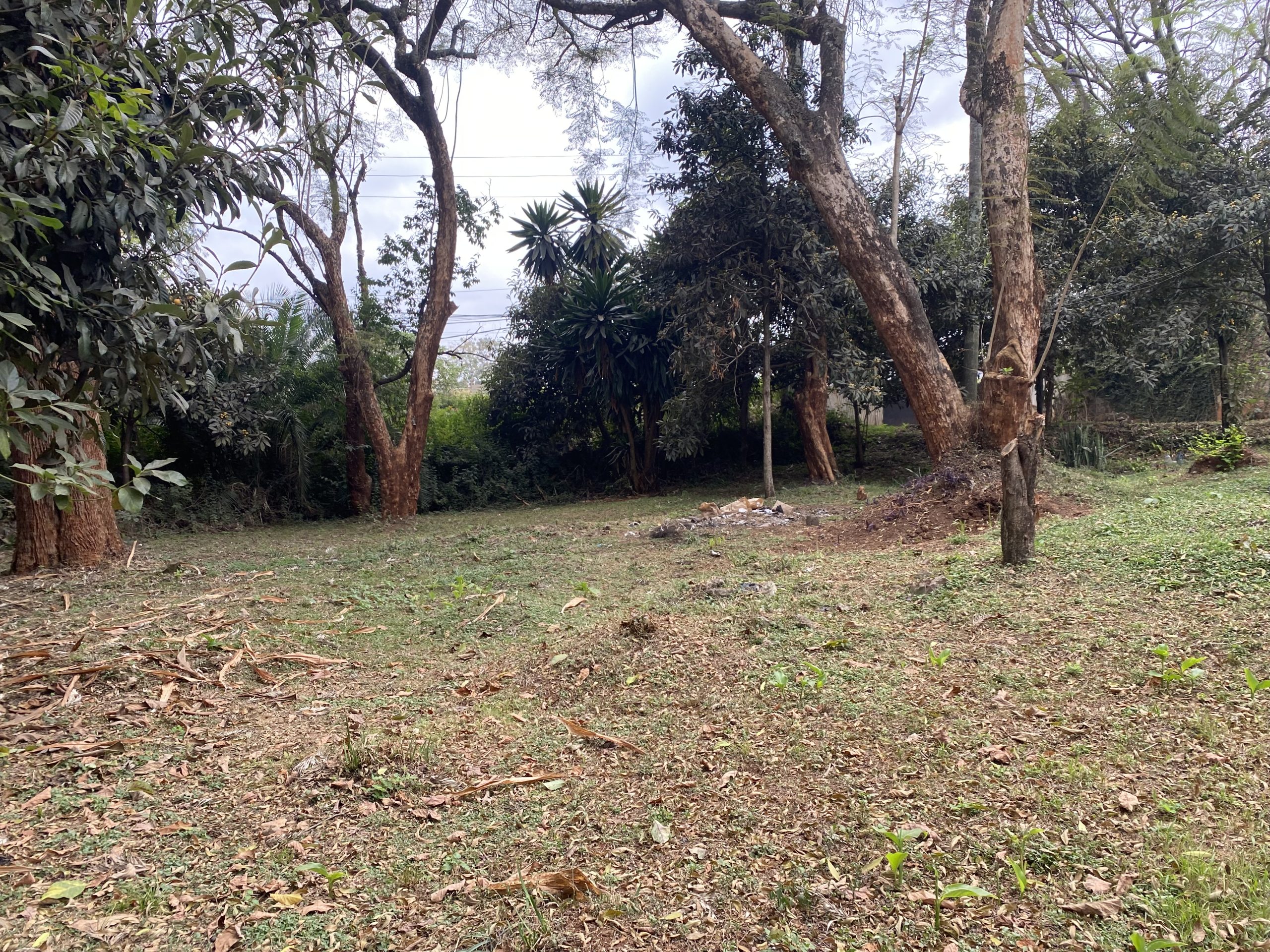 Redevelopment site in Riverside