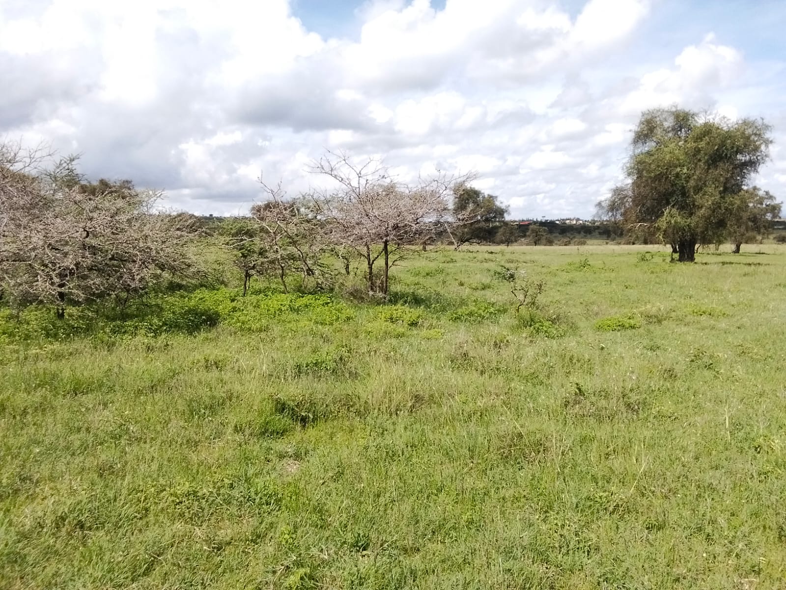 Prime 10 Acres for Sale – Maanzoni, Lukenya.           
