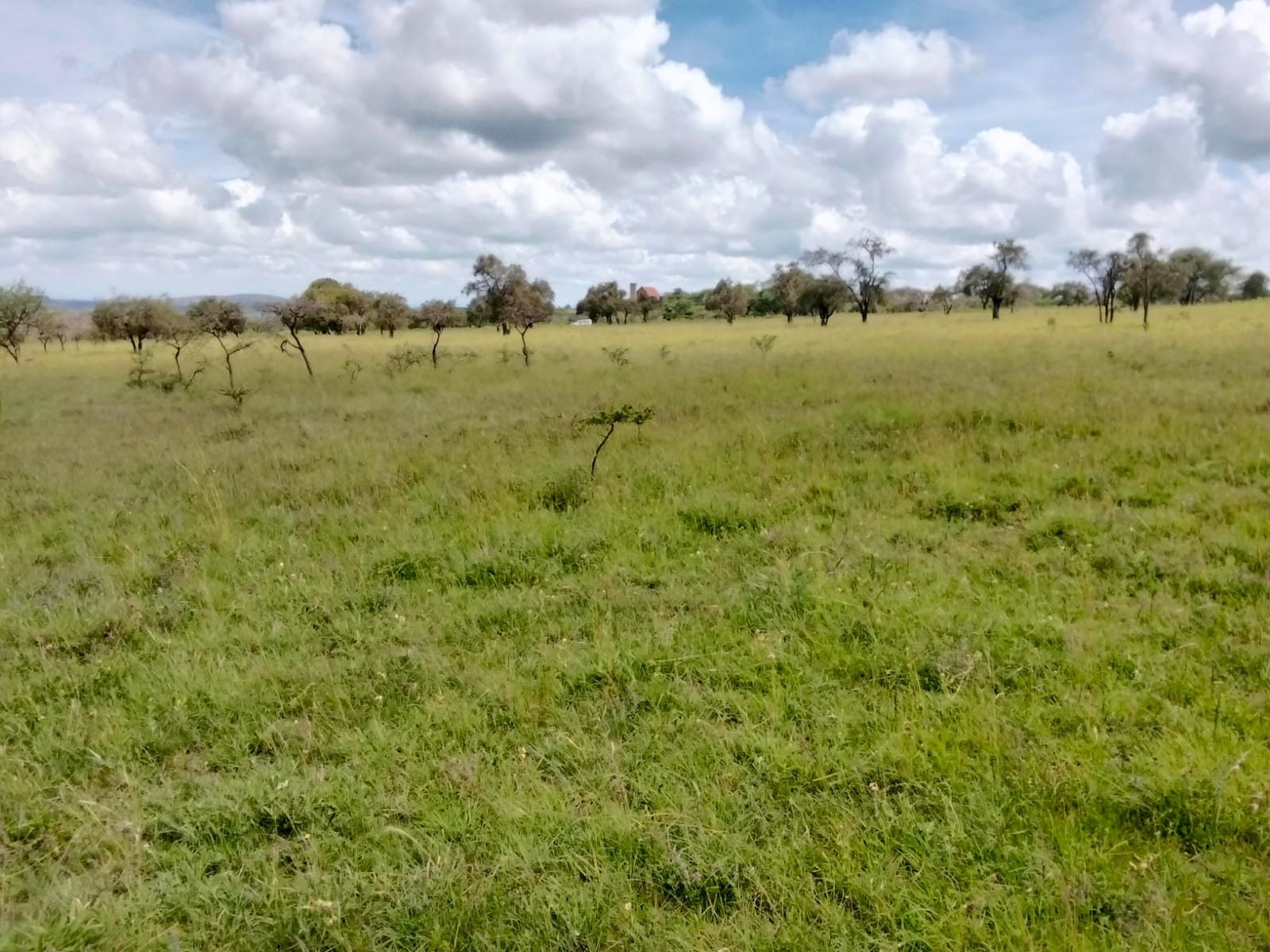 Prime 10 Acres for Sale – Maanzoni, Lukenya.           