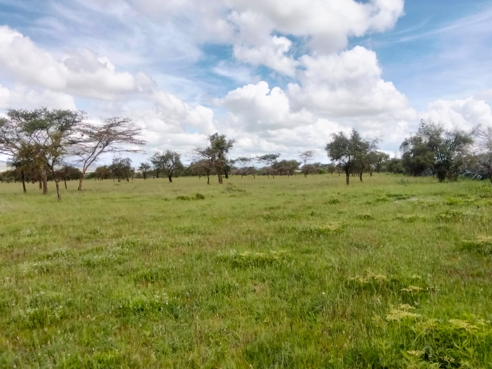 Prime 10 Acres for Sale – Maanzoni, Lukenya.           