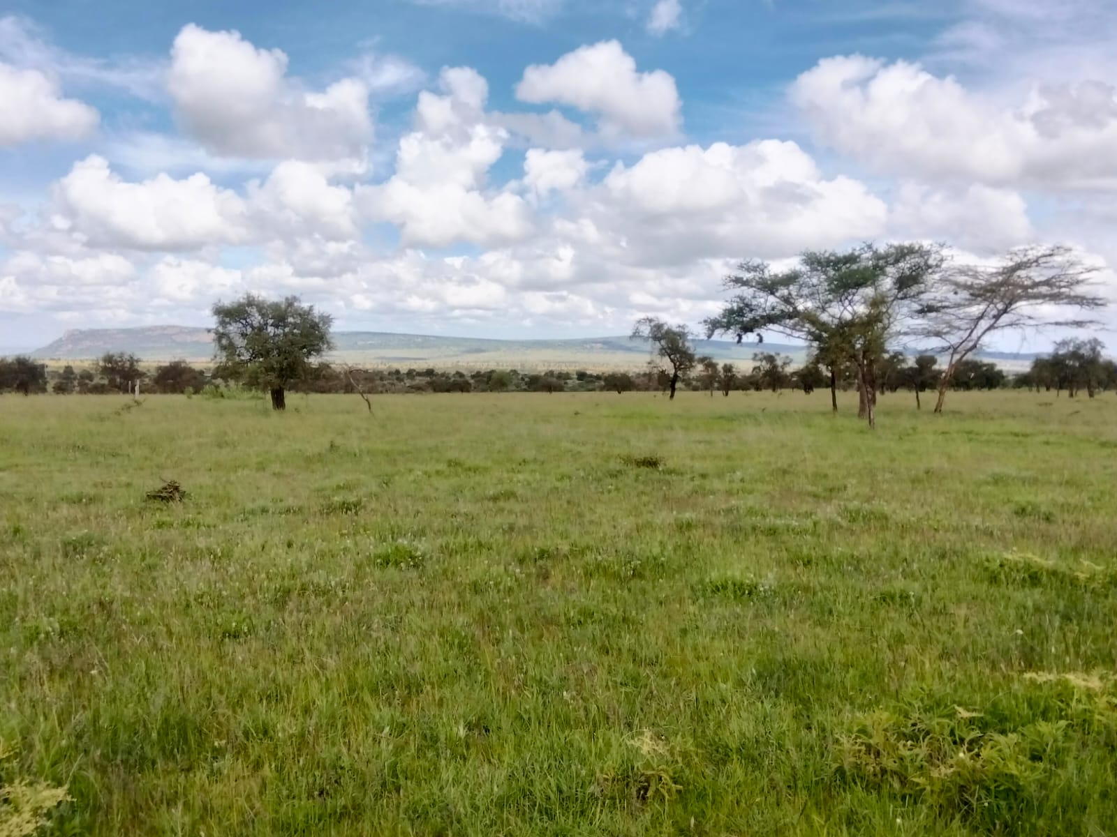 Prime 10 Acres for Sale – Maanzoni, Lukenya.           
