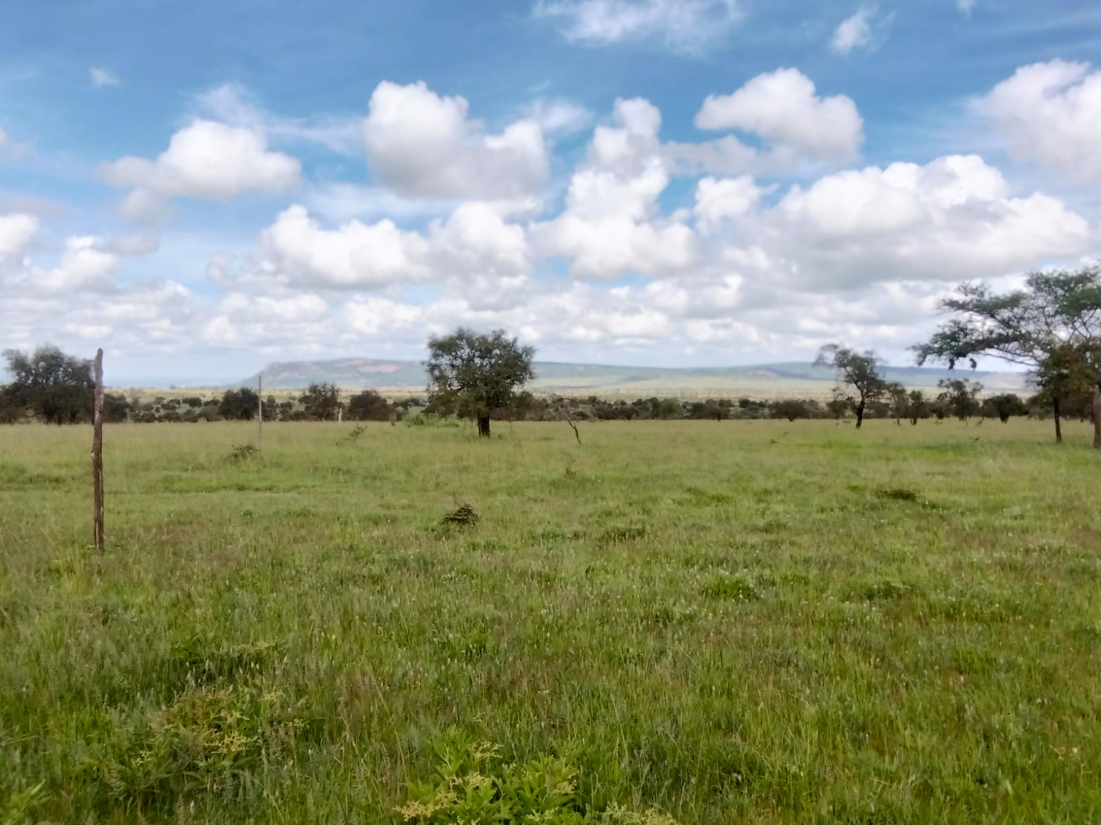 Prime 10 Acres for Sale – Maanzoni, Lukenya.           
