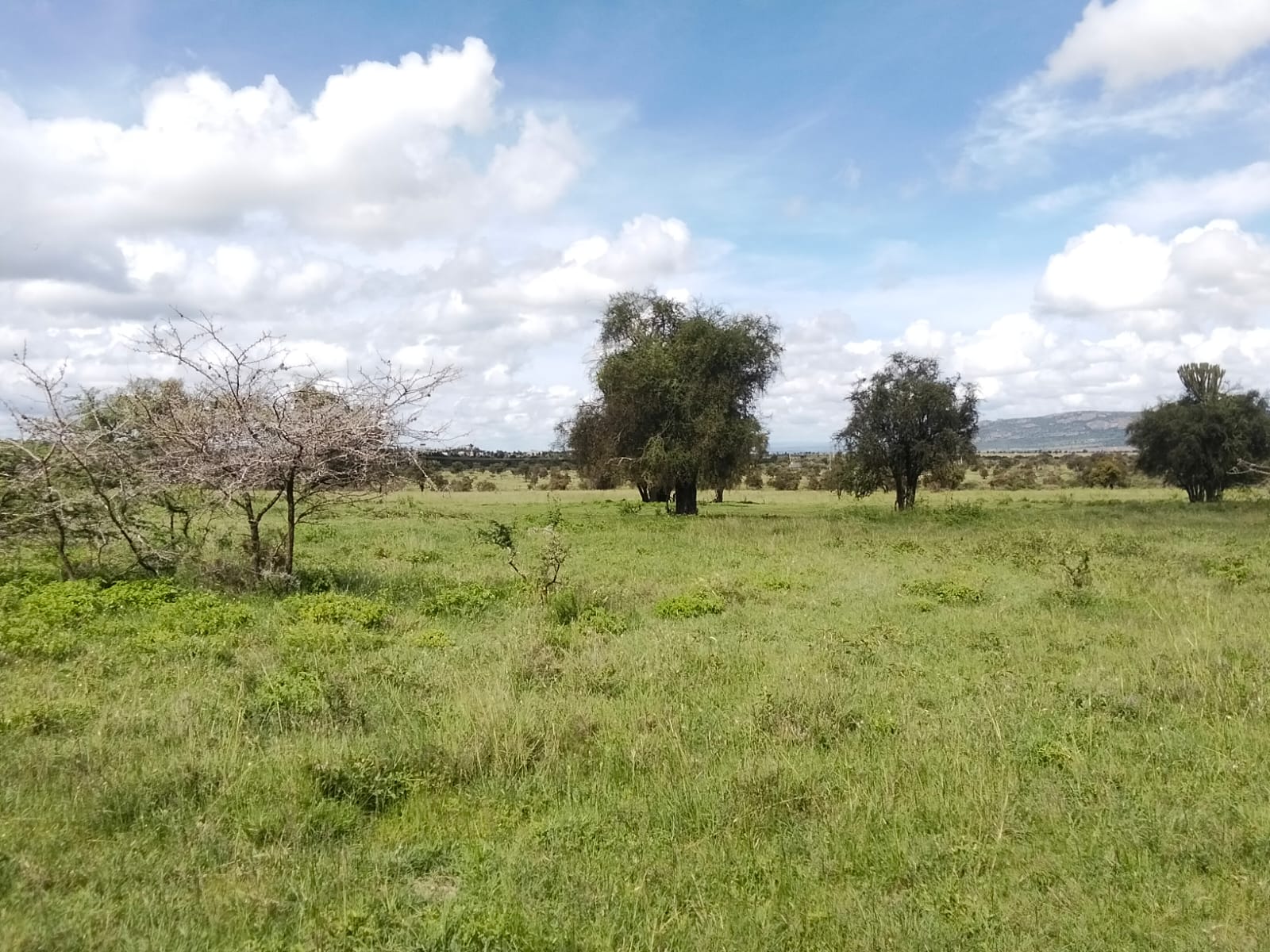 Prime 10 Acres for Sale – Maanzoni, Lukenya.           