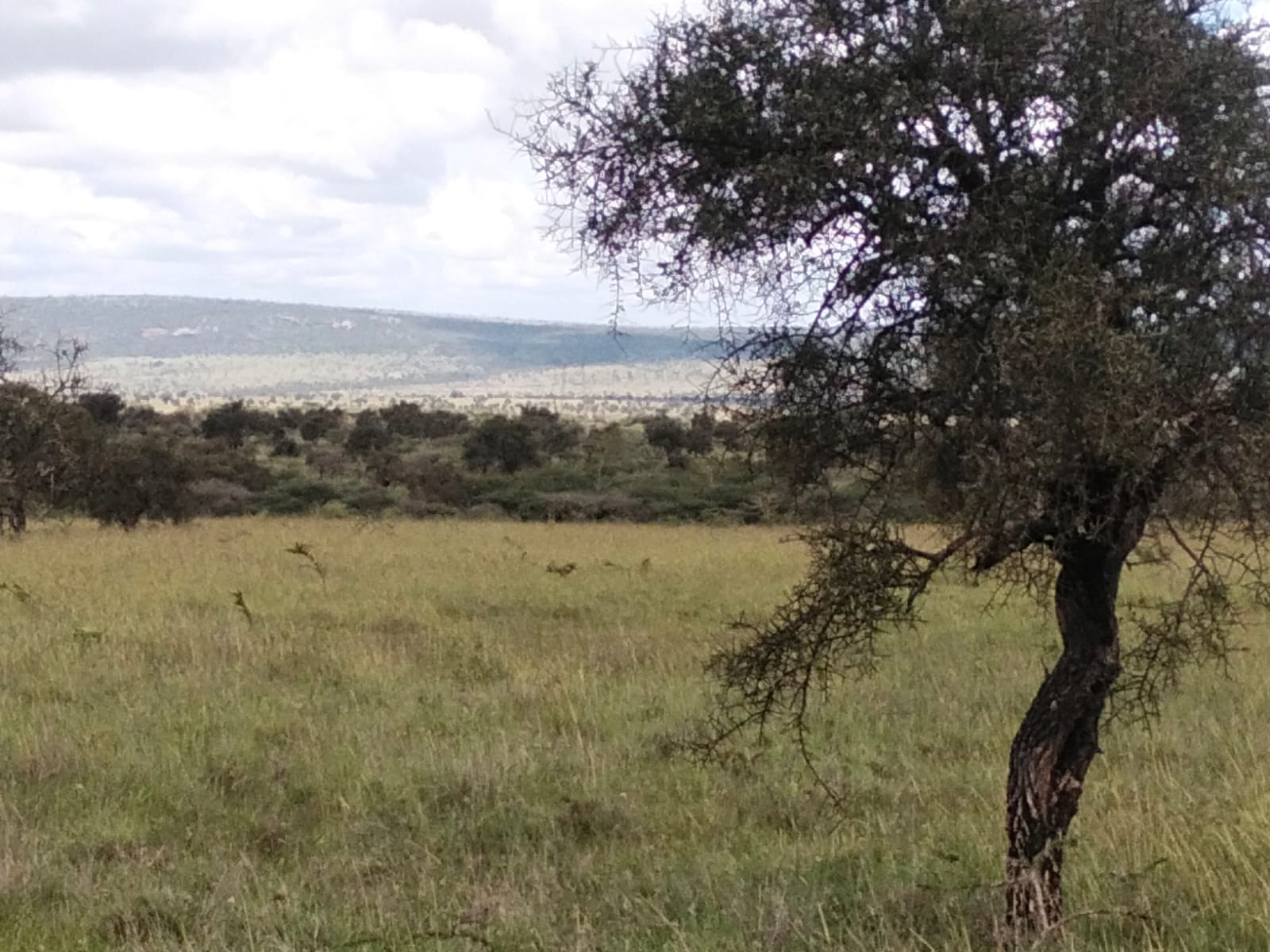 Prime 10 Acres for Sale – Maanzoni, Lukenya.           