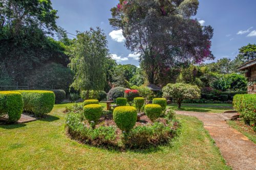 Elegant family  home in Muthaiga