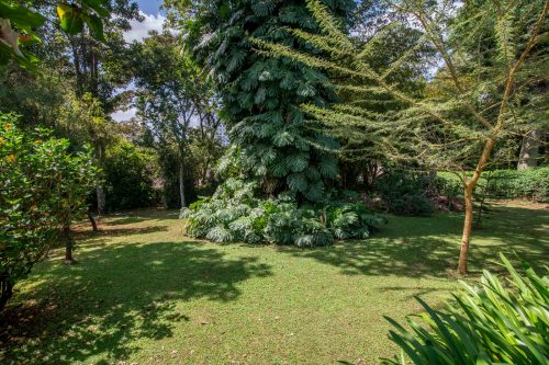 Elegant family  home in Muthaiga