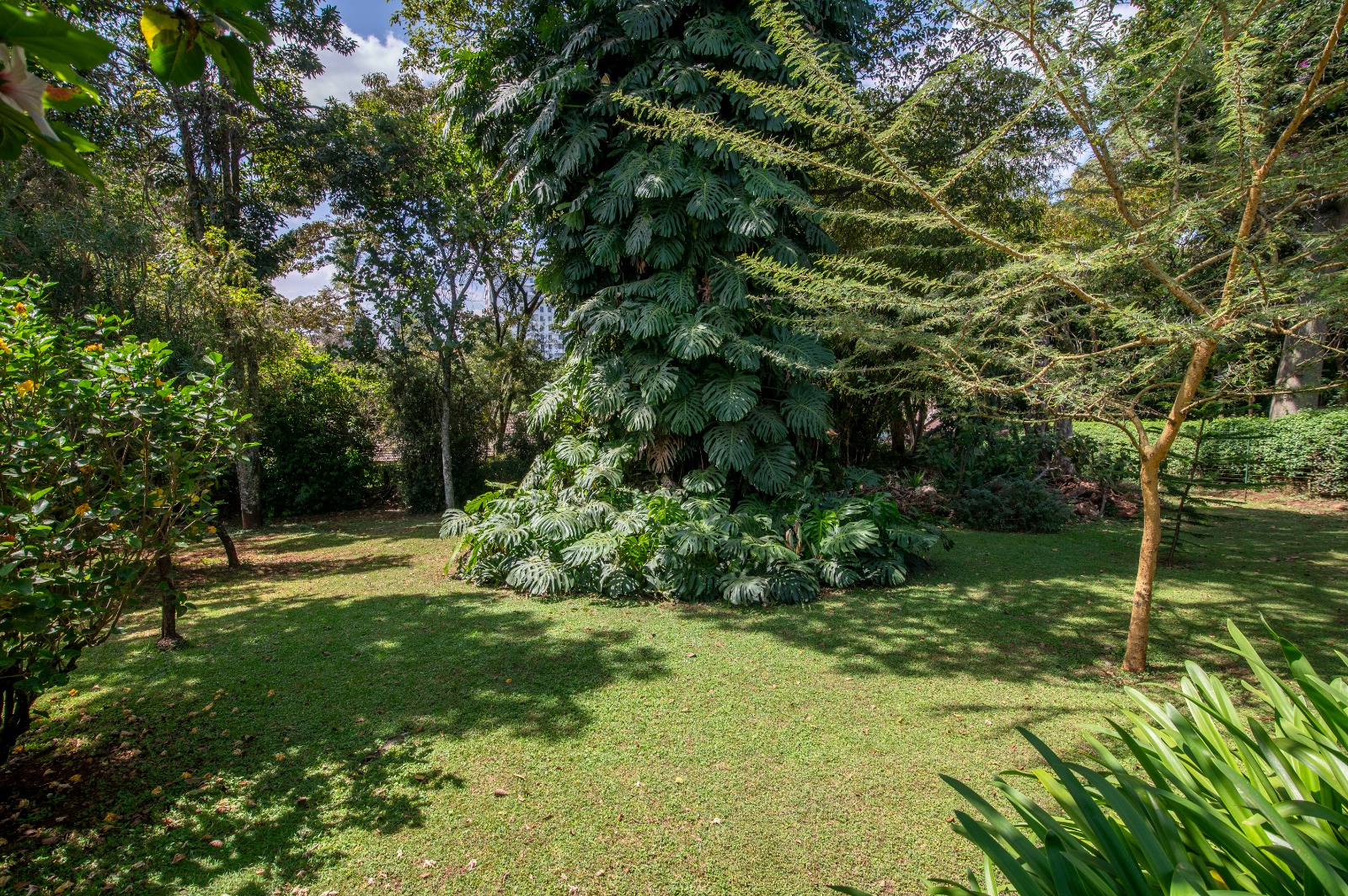 Elegant family  home in Muthaiga