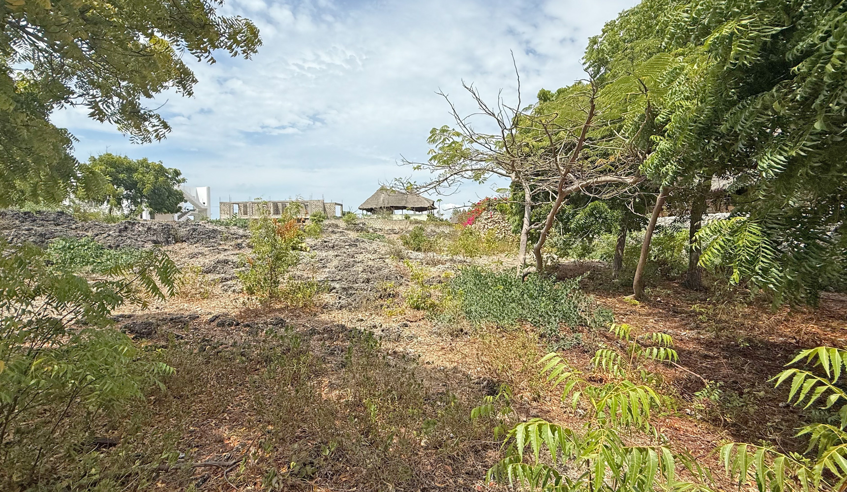 HALF ACRE OF 2ND ROW PLOT IN JACARANDA