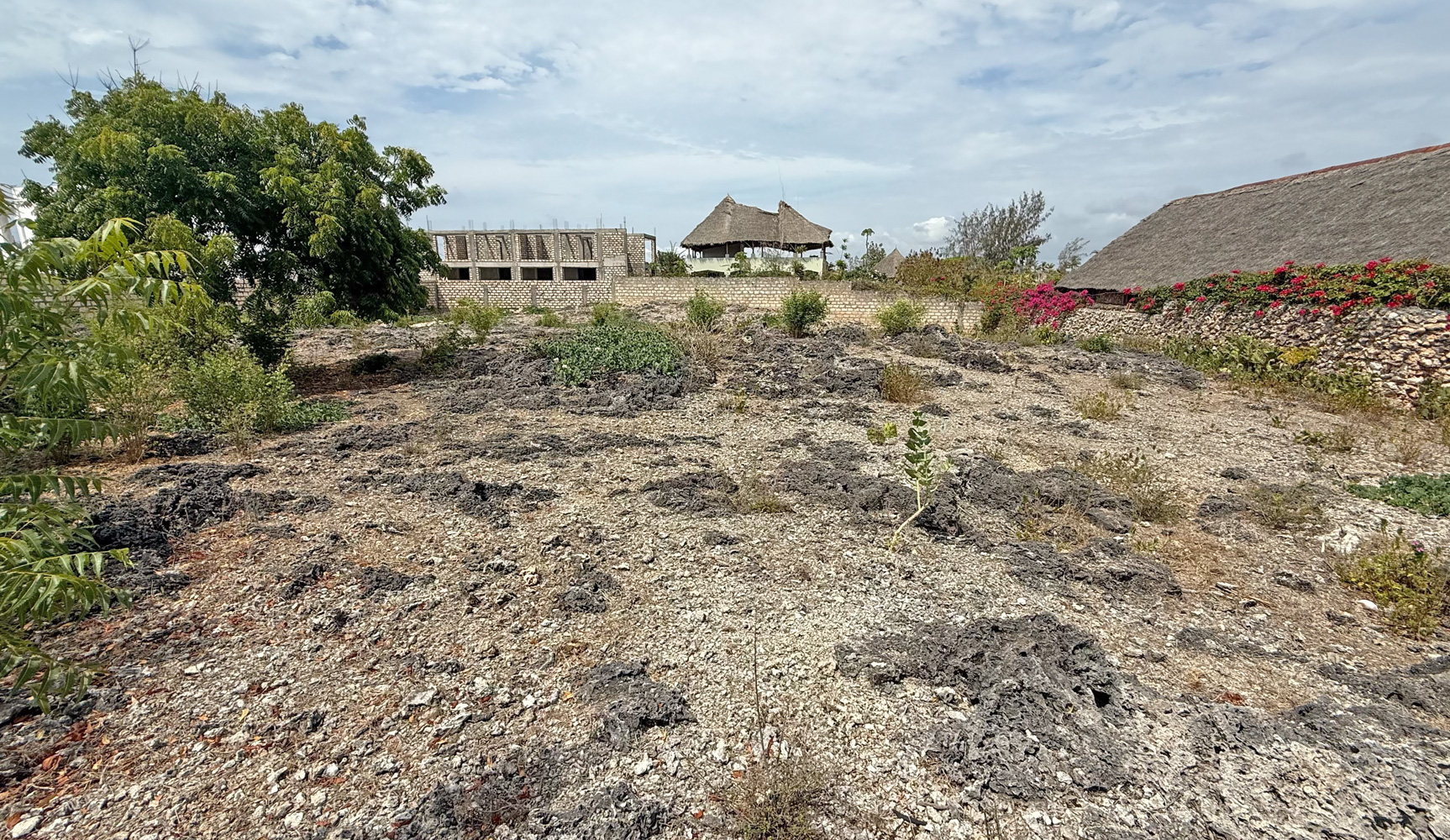 HALF ACRE OF 2ND ROW PLOT IN JACARANDA