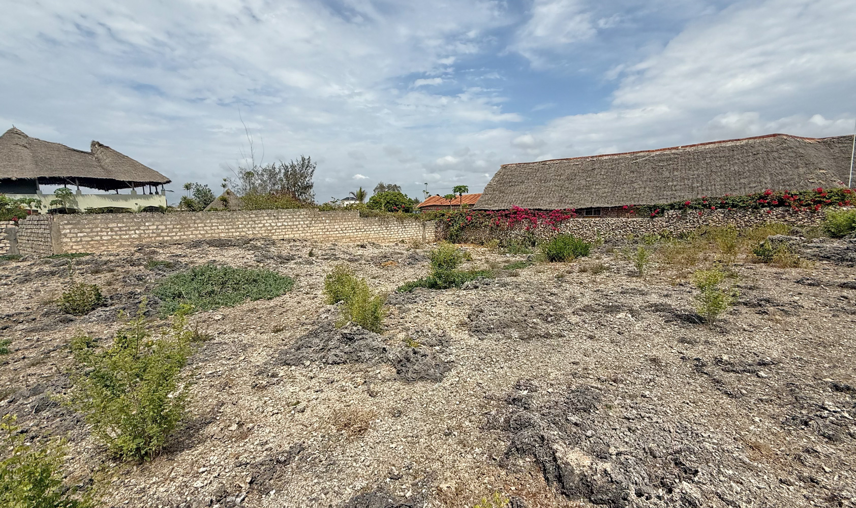 HALF ACRE OF 2ND ROW PLOT IN JACARANDA