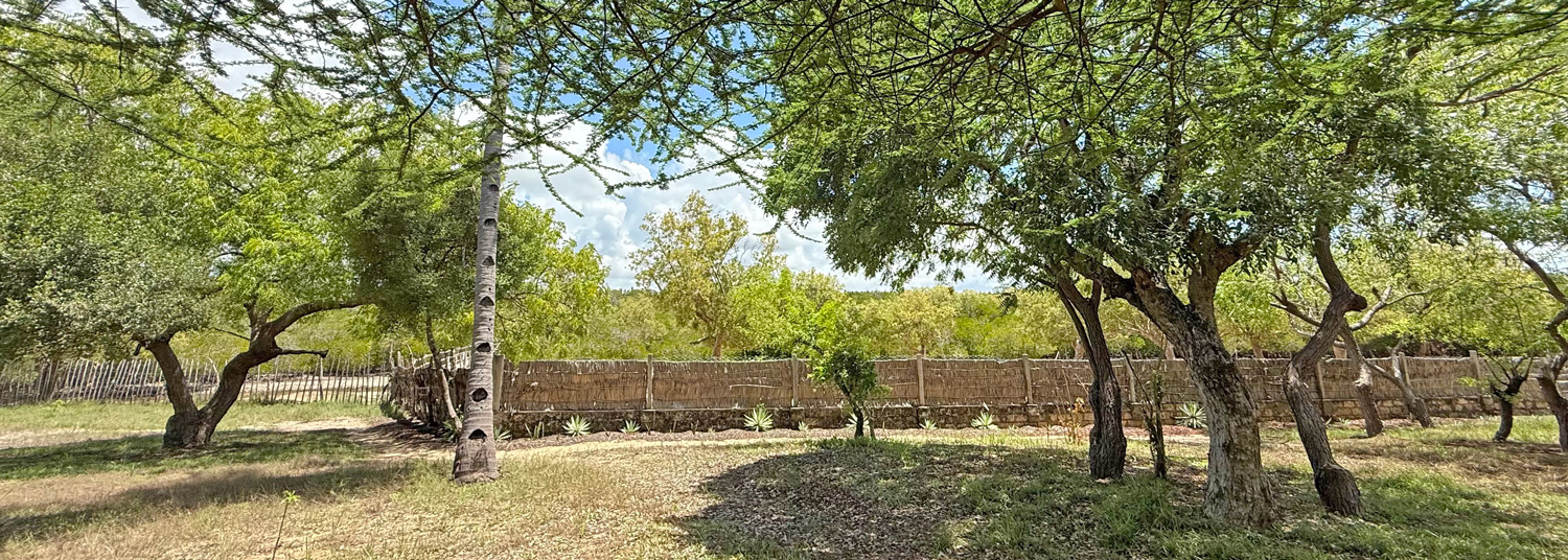 BEAUTIFUL 1.5 ACRE PLOT WITH MANGROVE FRONTAGE