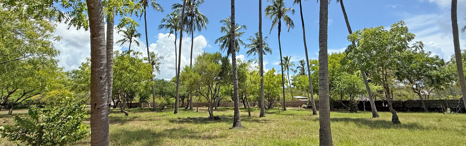 BEAUTIFUL 1.5 ACRE PLOT WITH MANGROVE FRONTAGE