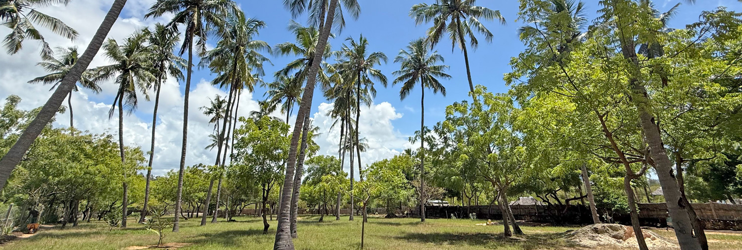 BEAUTIFUL 1.5 ACRE PLOT WITH MANGROVE FRONTAGE