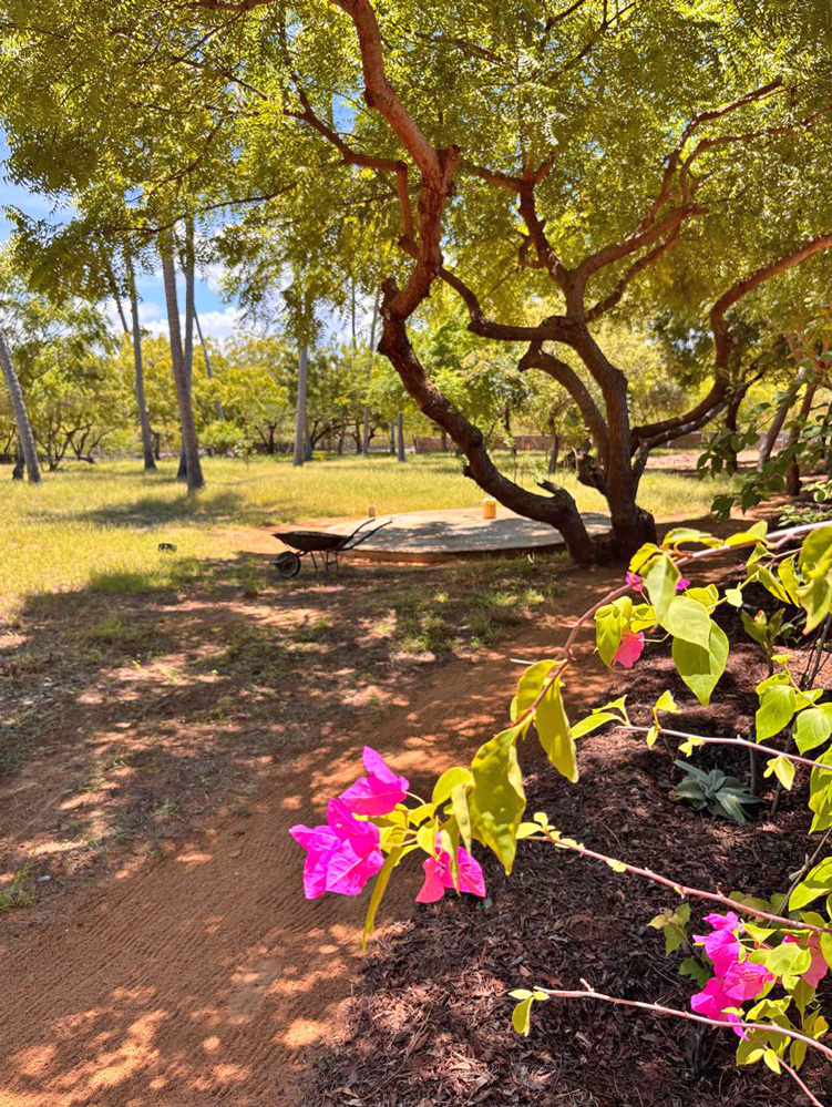 BEAUTIFUL 1.5 ACRE PLOT WITH MANGROVE FRONTAGE