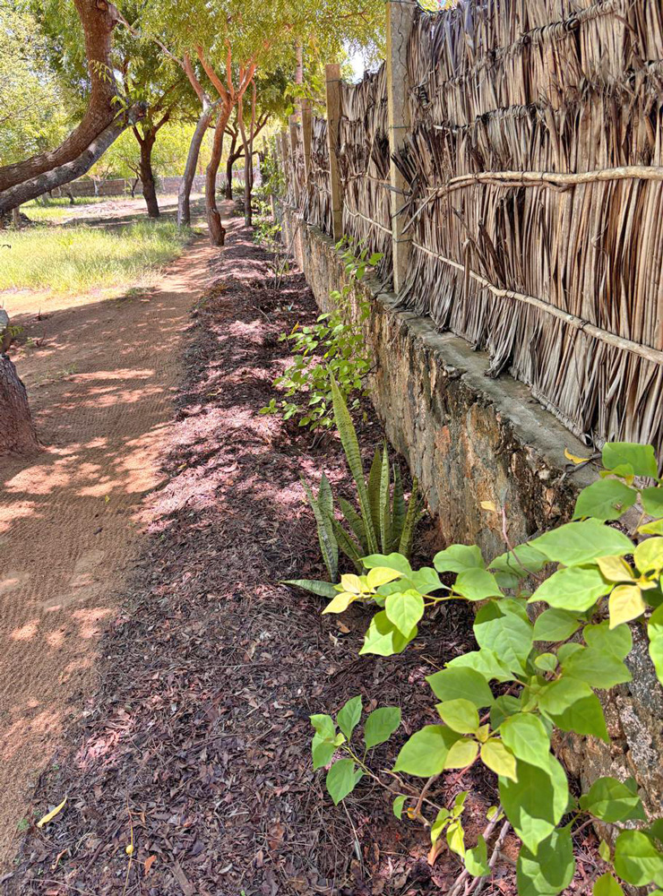 BEAUTIFUL 1.5 ACRE PLOT WITH MANGROVE FRONTAGE