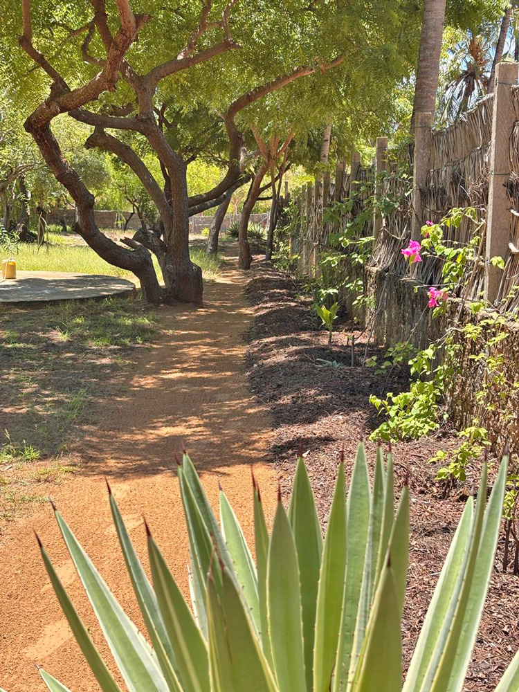 BEAUTIFUL 1.5 ACRE PLOT WITH MANGROVE FRONTAGE