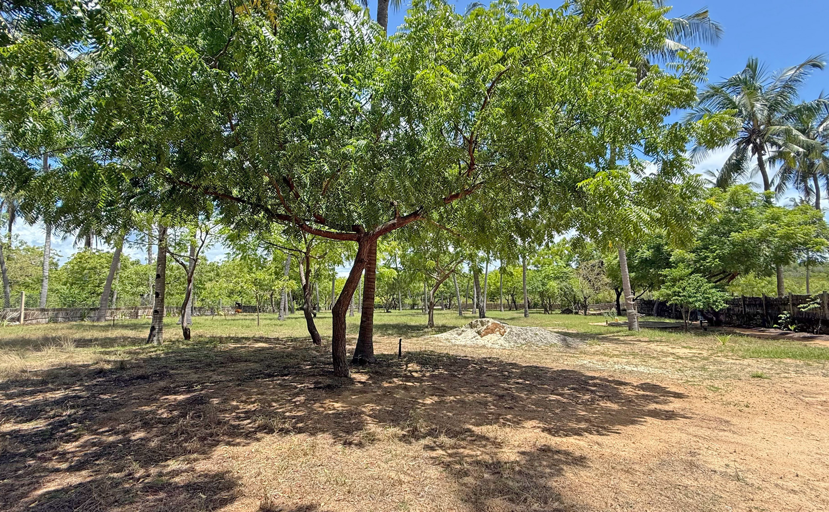BEAUTIFUL 1.5 ACRE PLOT WITH MANGROVE FRONTAGE