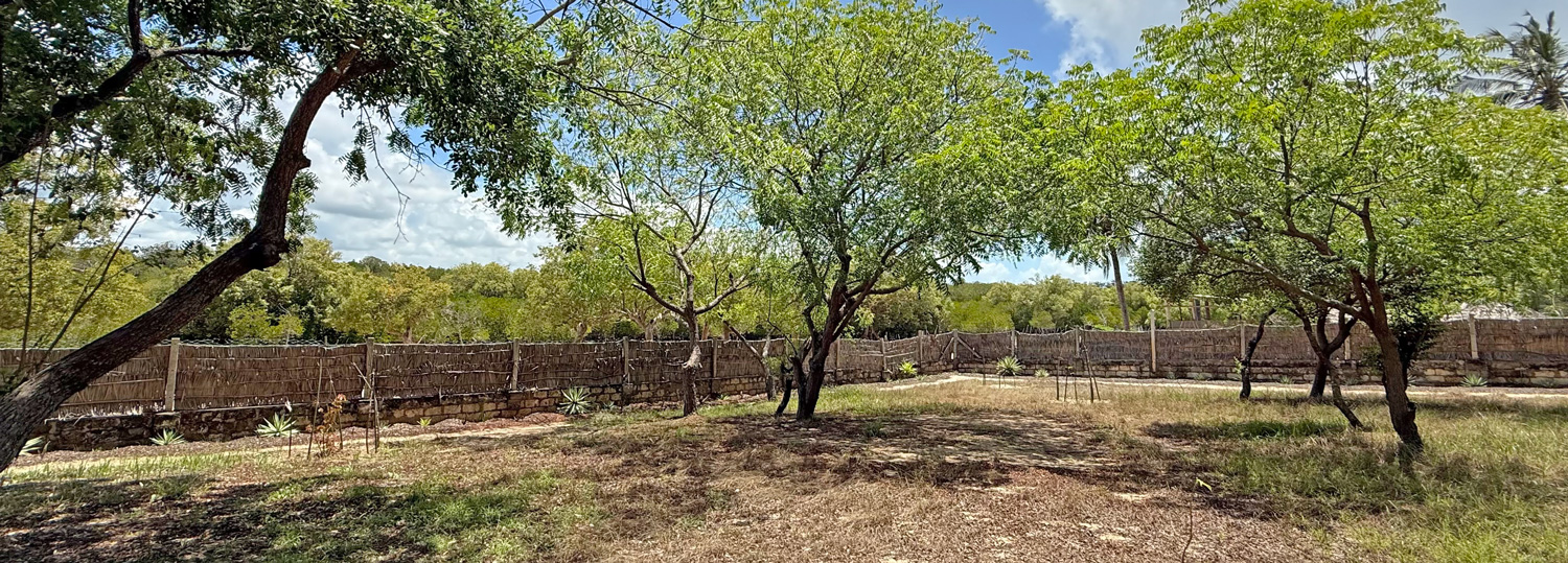 BEAUTIFUL 1.5 ACRE PLOT WITH MANGROVE FRONTAGE