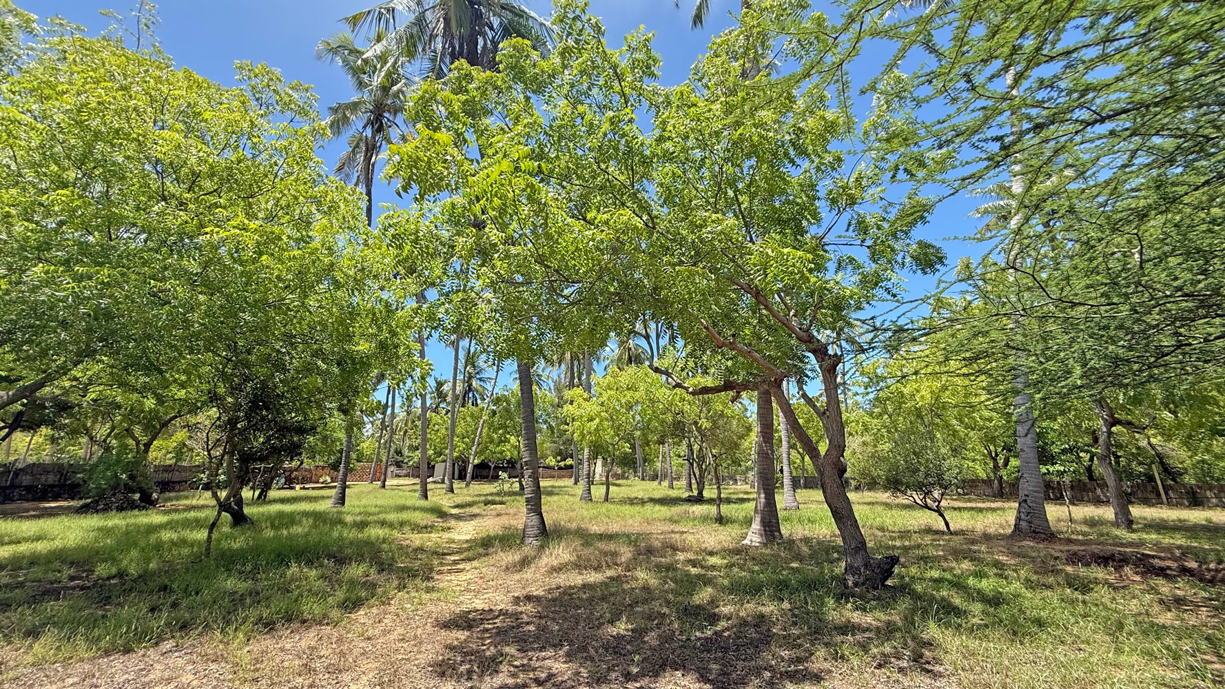 BEAUTIFUL 1.5 ACRE PLOT WITH MANGROVE FRONTAGE