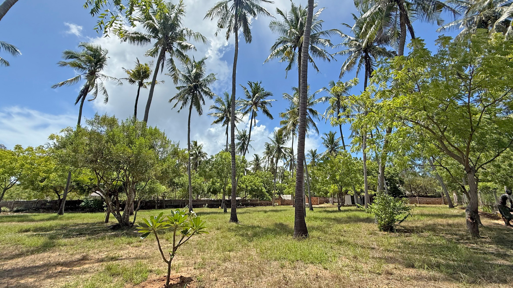 BEAUTIFUL 1.5 ACRE PLOT WITH MANGROVE FRONTAGE