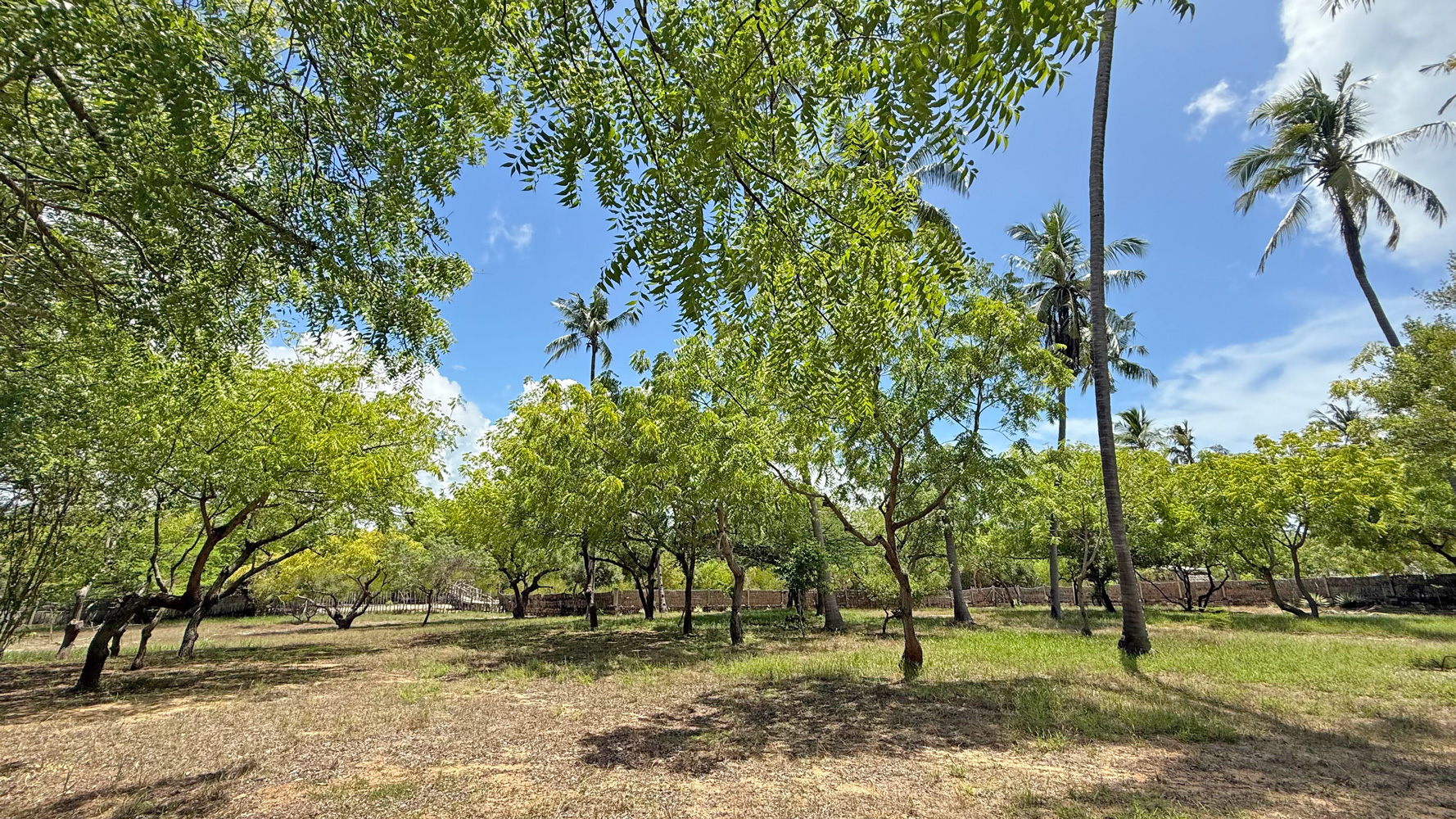 BEAUTIFUL 1.5 ACRE PLOT WITH MANGROVE FRONTAGE