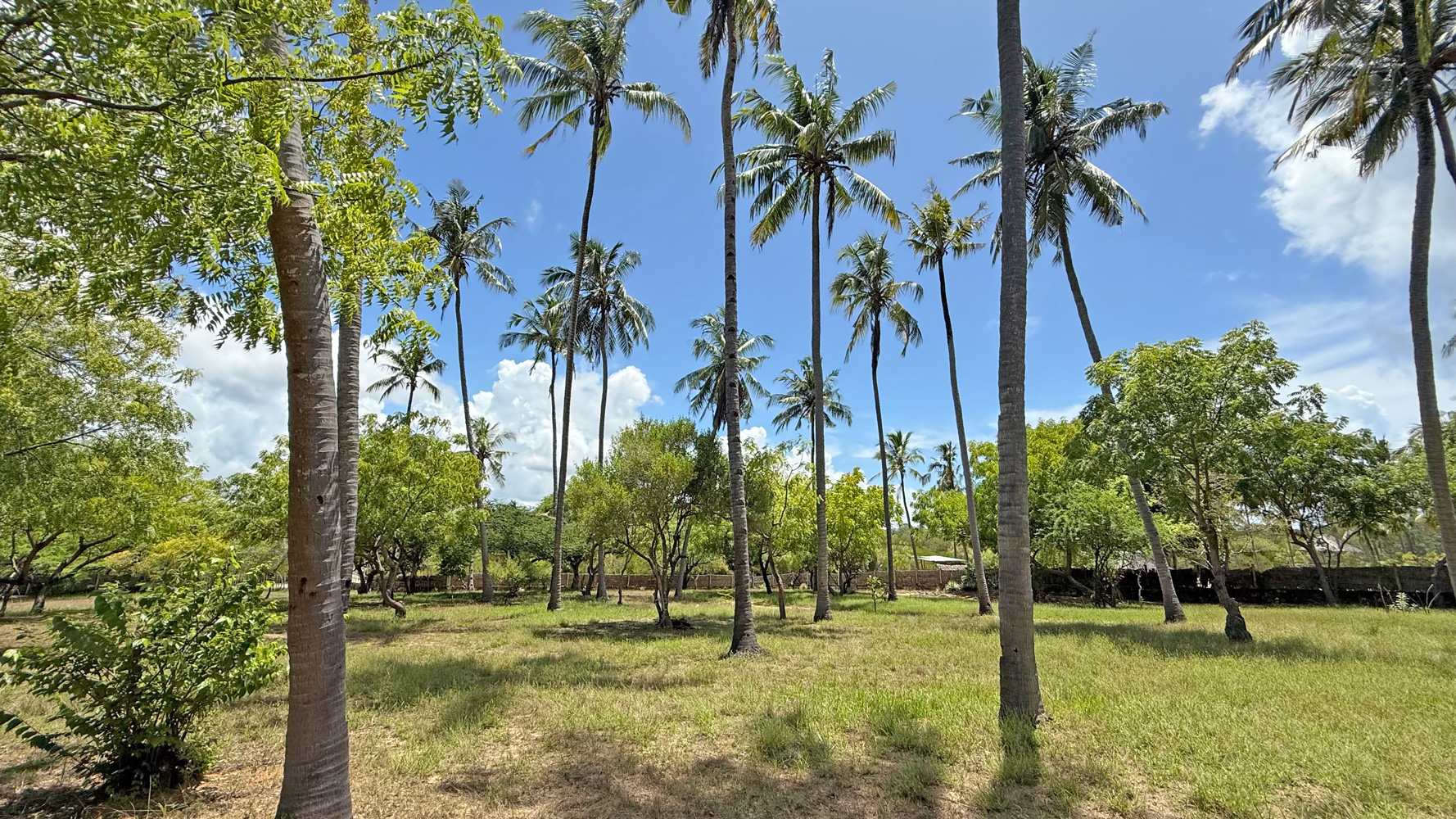 BEAUTIFUL 1.5 ACRE PLOT WITH MANGROVE FRONTAGE