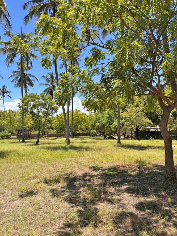BEAUTIFUL 1.5 ACRE PLOT WITH MANGROVE FRONTAGE