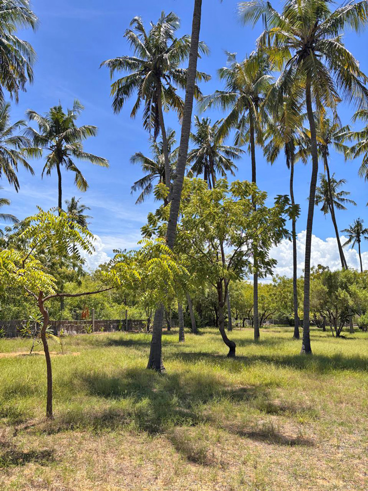BEAUTIFUL 1.5 ACRE PLOT WITH MANGROVE FRONTAGE