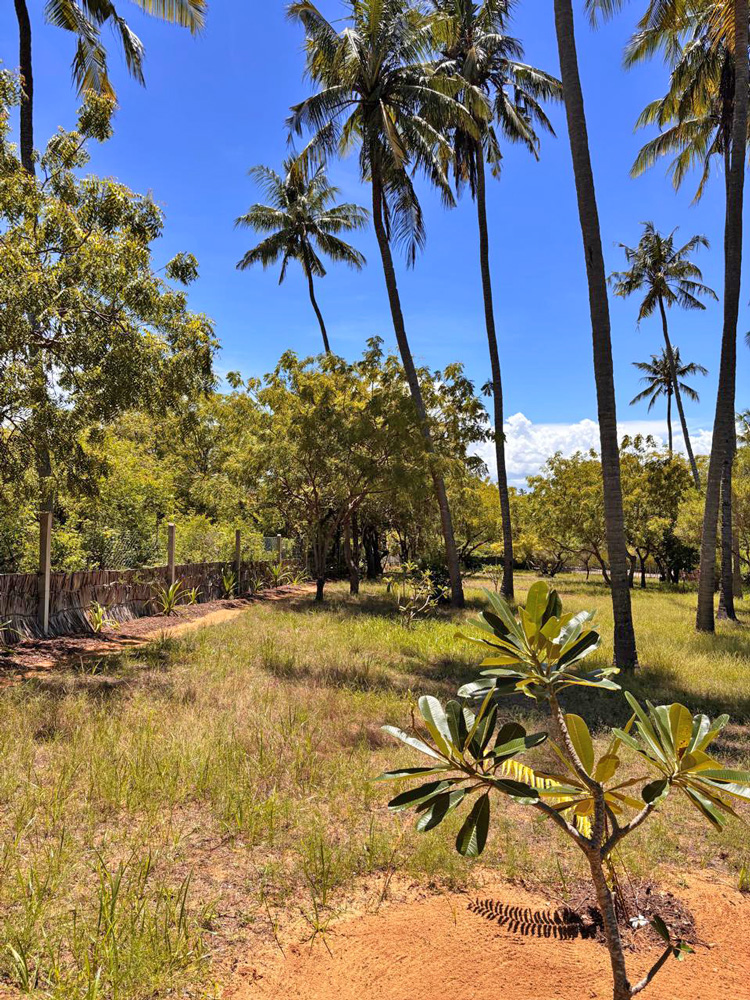 BEAUTIFUL 1.5 ACRE PLOT WITH MANGROVE FRONTAGE