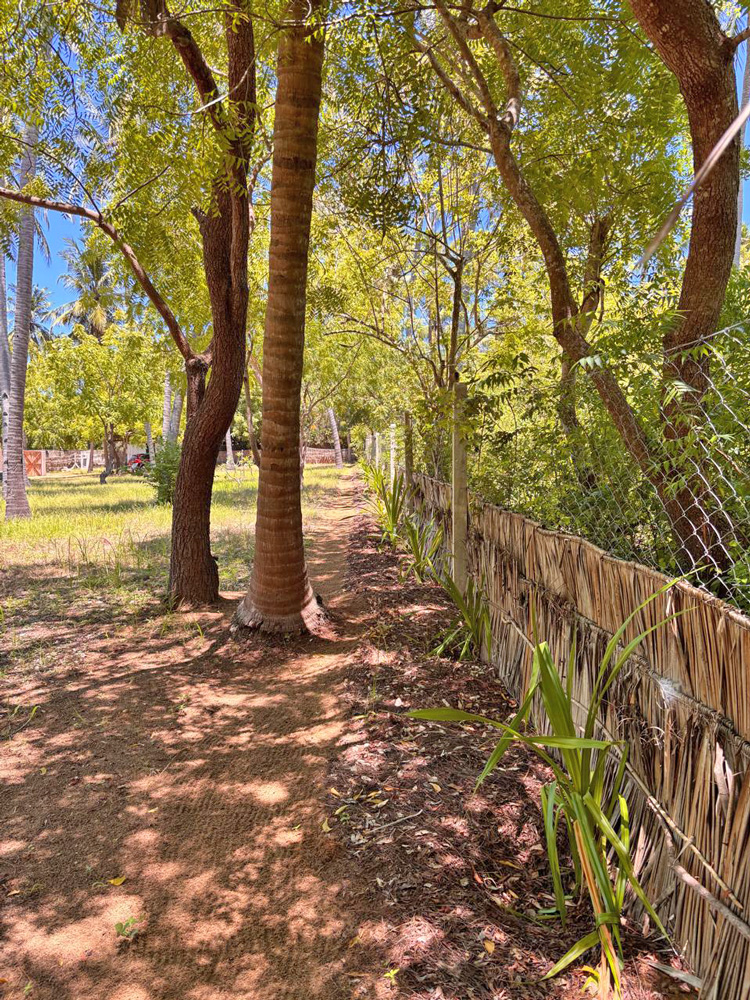 BEAUTIFUL 1.5 ACRE PLOT WITH MANGROVE FRONTAGE