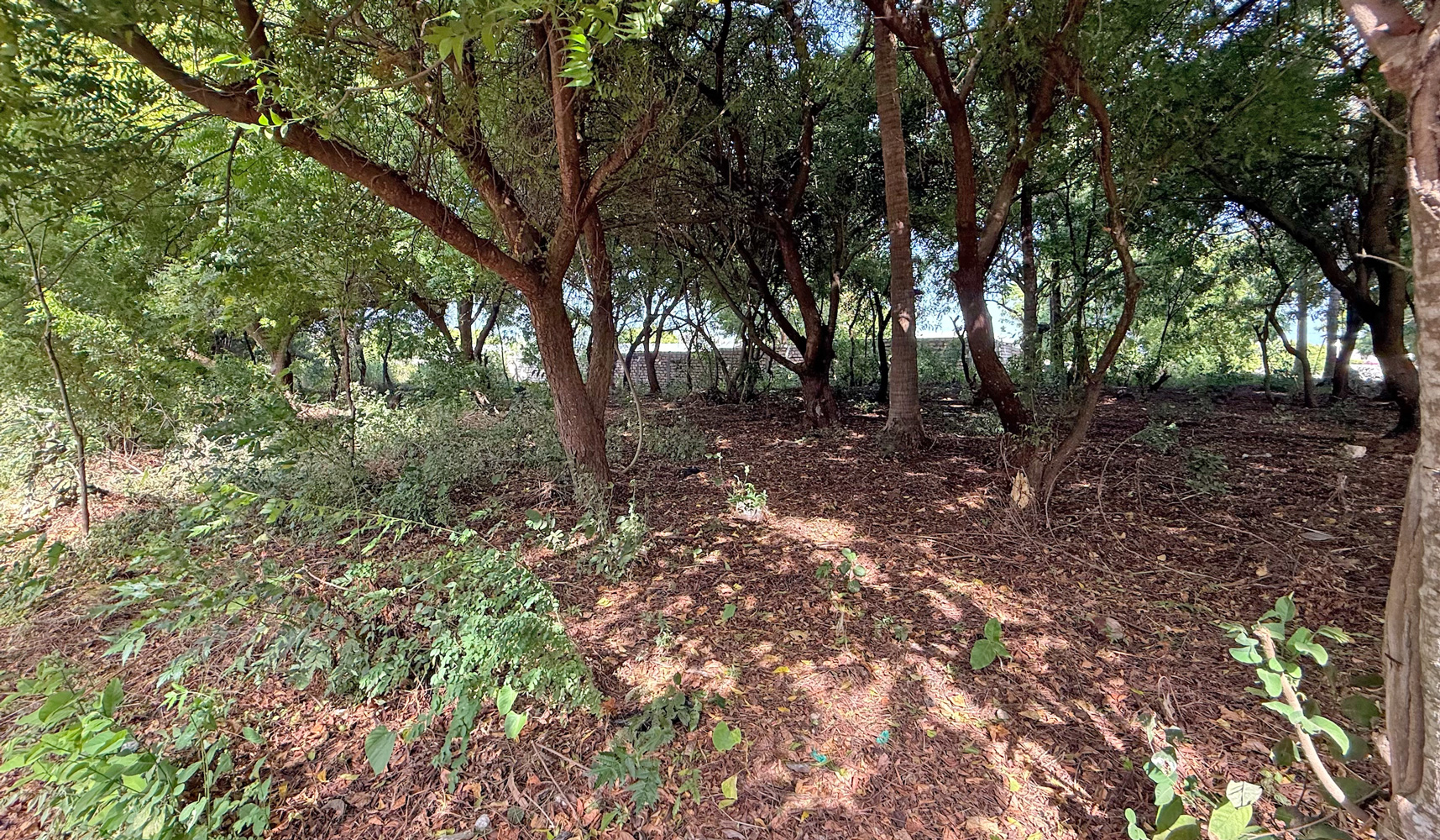 HALF ACRE PLOT FOR SALE REF:  NVHH01