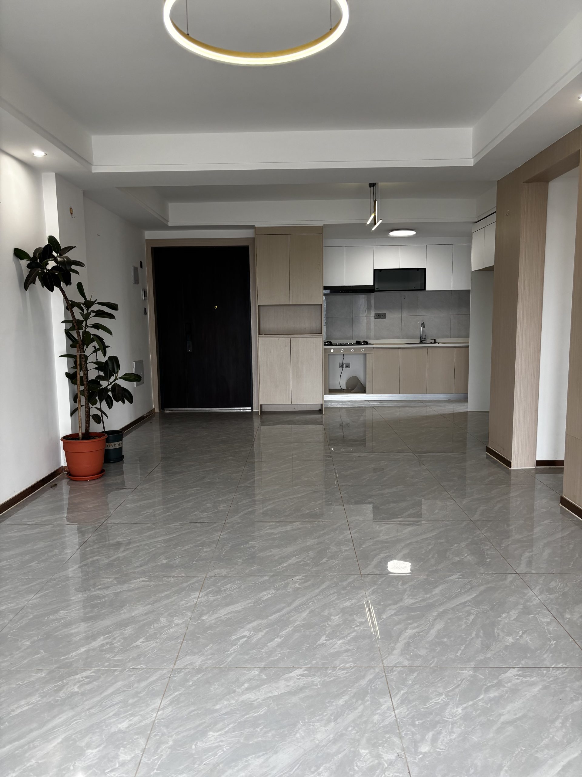 A unique and spacious APARTMENT finished to high standards in a secure development. For Sale