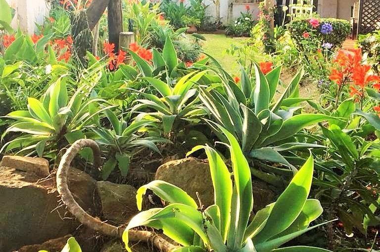 A 2 BEDROOM FULLY FURNISHED COTTAGE