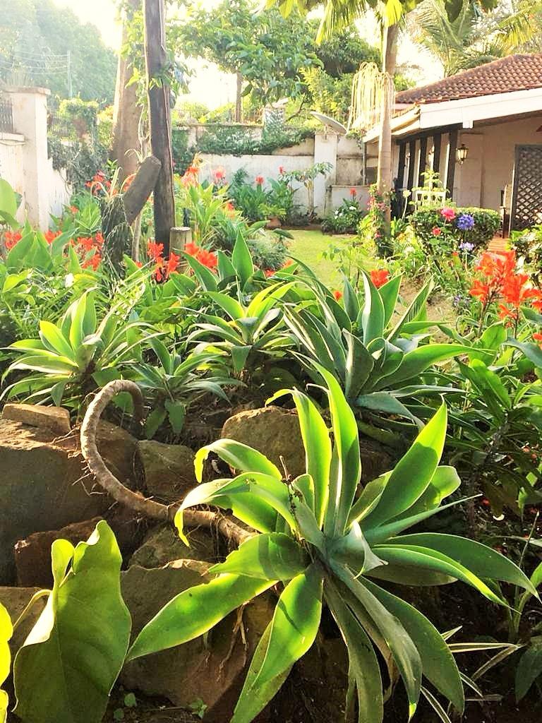 A 2 BEDROOM FULLY FURNISHED COTTAGE