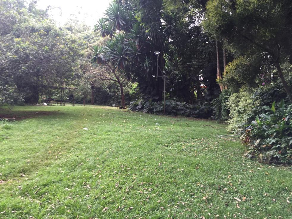 Elegant 3 bedroom Fully Furnished duplex apartments in Gigiri