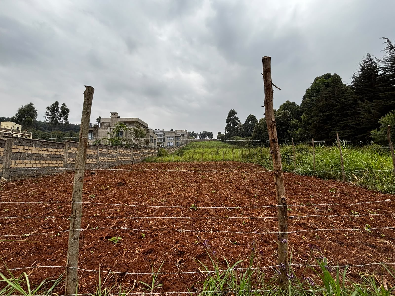 1/8 ACRE PLOT FOR SALE – KIKUYU/ONDIRI